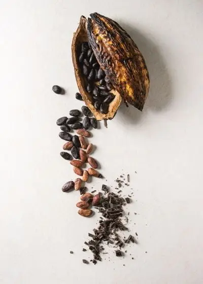 Healthy Elixers Colloidal Silver Raw Cacao
